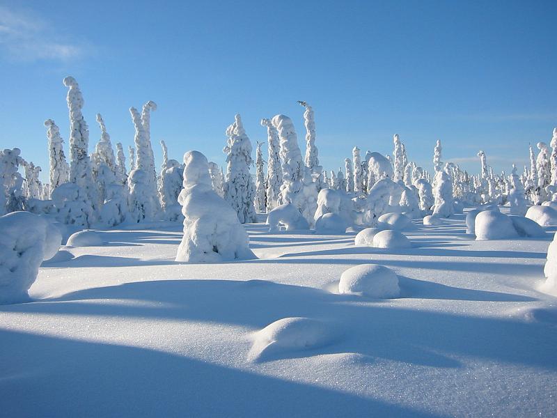 010 Matkalla Sallaan.jpg